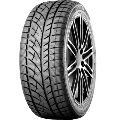 205/55R16 RoadX RxFrost WU01 91H